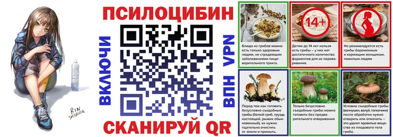 закладка  маркетплейс официальный сайт  Псилоцибиновые грибы мицелий  Скопин 